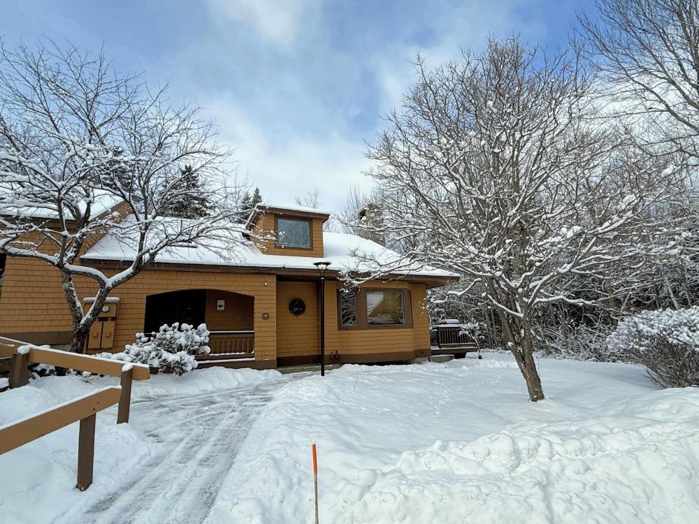 O1 Slopeside Bretton Woods cottage with AC large patio and private yard Walk to slopes